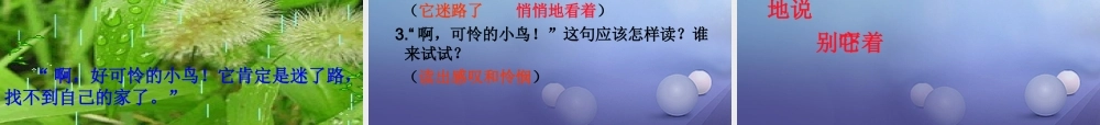 （秋季版）一年级语文下册 课文2 5《阳台上的小鸟》课件1 语文S版-语文S版小学一年级下册语文课件