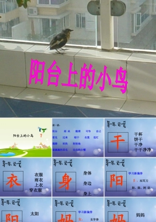 （秋季版）一年级语文下册 课文2 5《阳台上的小鸟》课件1 语文S版-语文S版小学一年级下册语文课件