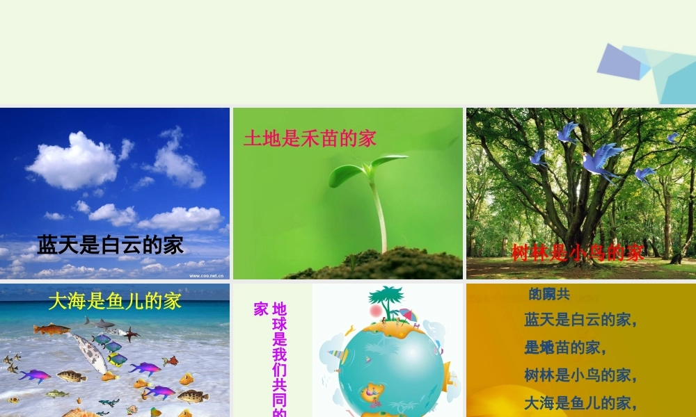 （秋季版）一年级语文上册 课文2 共同的家课件2 语文S版-语文S版小学一年级上册语文课件