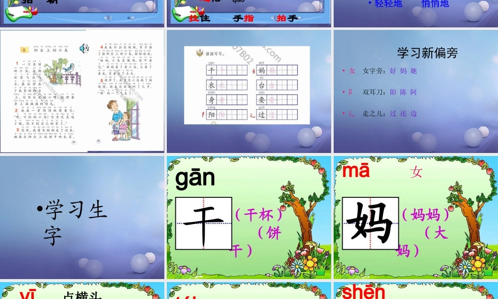 （秋季版）一年级语文下册 课文2 5《阳台上的小鸟》课件2 语文S版-语文S版小学一年级下册语文课件