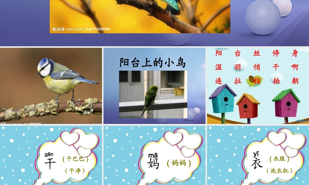 （秋季版）一年级语文下册 课文2 5《阳台上的小鸟》课件3 语文S版-语文S版小学一年级下册语文课件