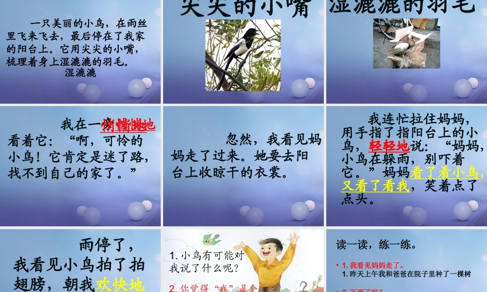 （秋季版）一年级语文下册 课文2 5《阳台上的小鸟》课件3 语文S版-语文S版小学一年级下册语文课件