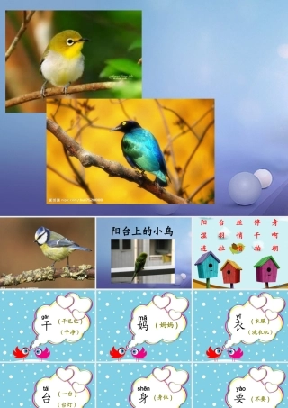 （秋季版）一年级语文下册 课文2 5《阳台上的小鸟》课件3 语文S版-语文S版小学一年级下册语文课件