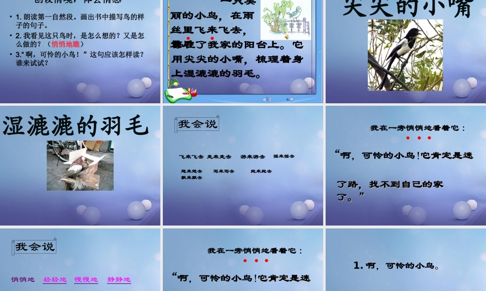 （秋季版）一年级语文下册 课文2 5《阳台上的小鸟》课件4 语文S版-语文S版小学一年级下册语文课件