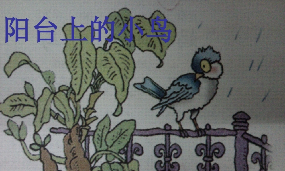 （秋季版）一年级语文下册 课文2 5《阳台上的小鸟》课件5 语文S版-语文S版小学一年级下册语文课件