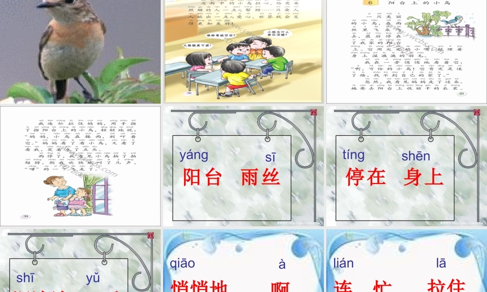 （秋季版）一年级语文下册 课文2 5《阳台上的小鸟》课件5 语文S版-语文S版小学一年级下册语文课件