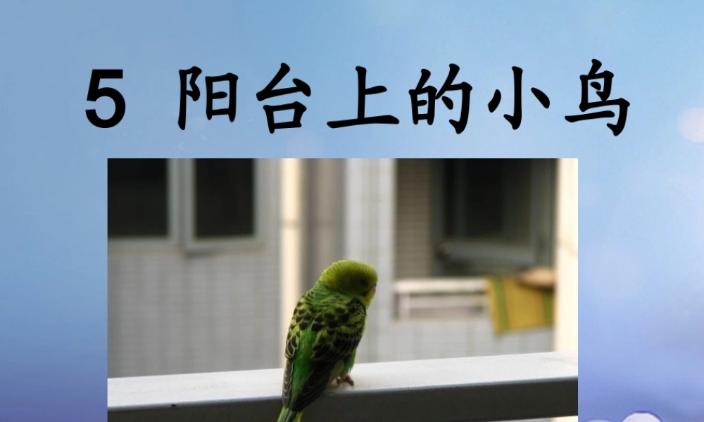 （秋季版）一年级语文下册 课文2 5《阳台上的小鸟》课件8 语文S版-语文S版小学一年级下册语文课件