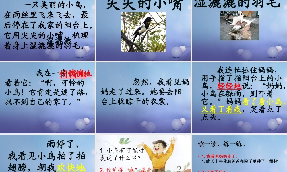 （秋季版）一年级语文下册 课文2 5《阳台上的小鸟》课件8 语文S版-语文S版小学一年级下册语文课件