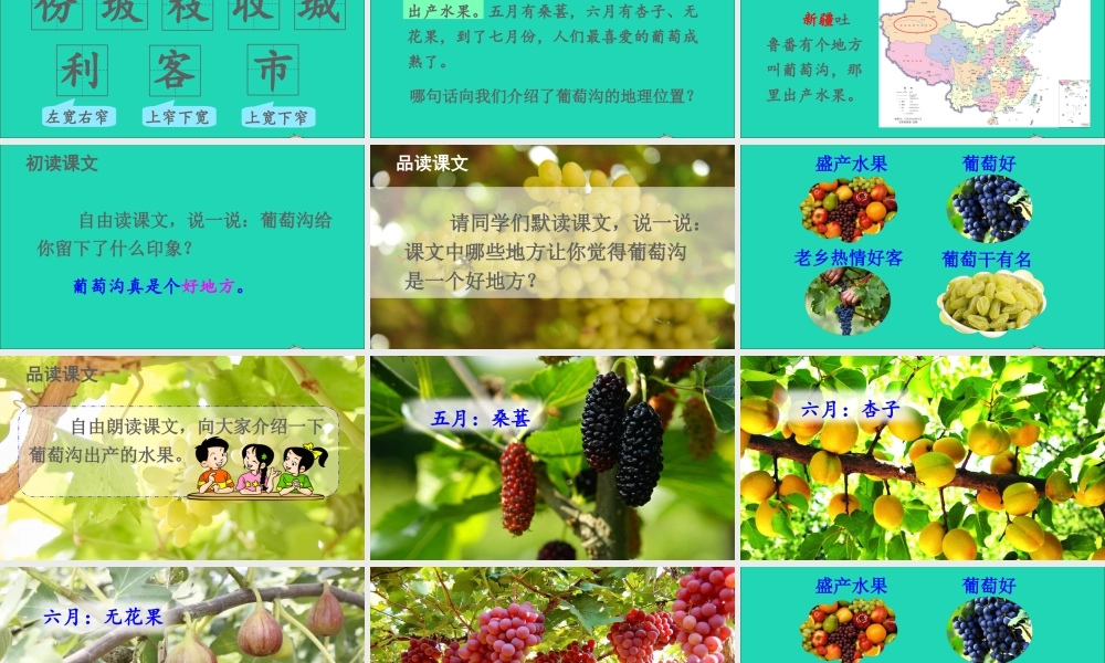 课文3 11 葡萄沟课件