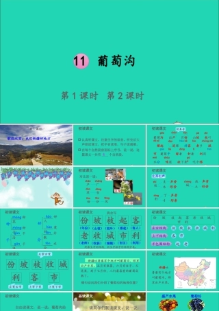 课文3 11 葡萄沟课件