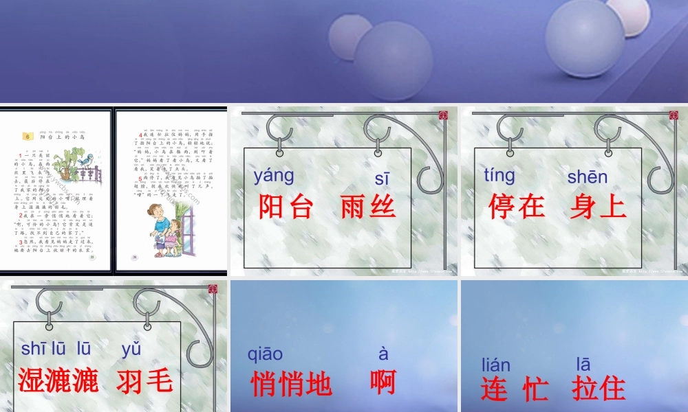 （秋季版）一年级语文下册 课文2 5《阳台上的小鸟》课件10 语文S版-语文S版小学一年级下册语文课件