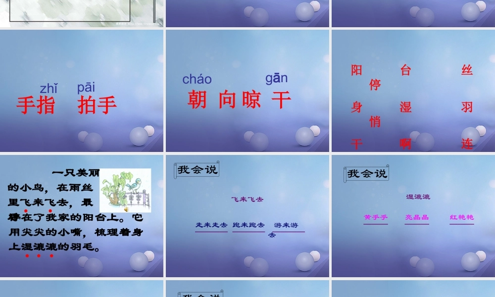 （秋季版）一年级语文下册 课文2 5《阳台上的小鸟》课件10 语文S版-语文S版小学一年级下册语文课件