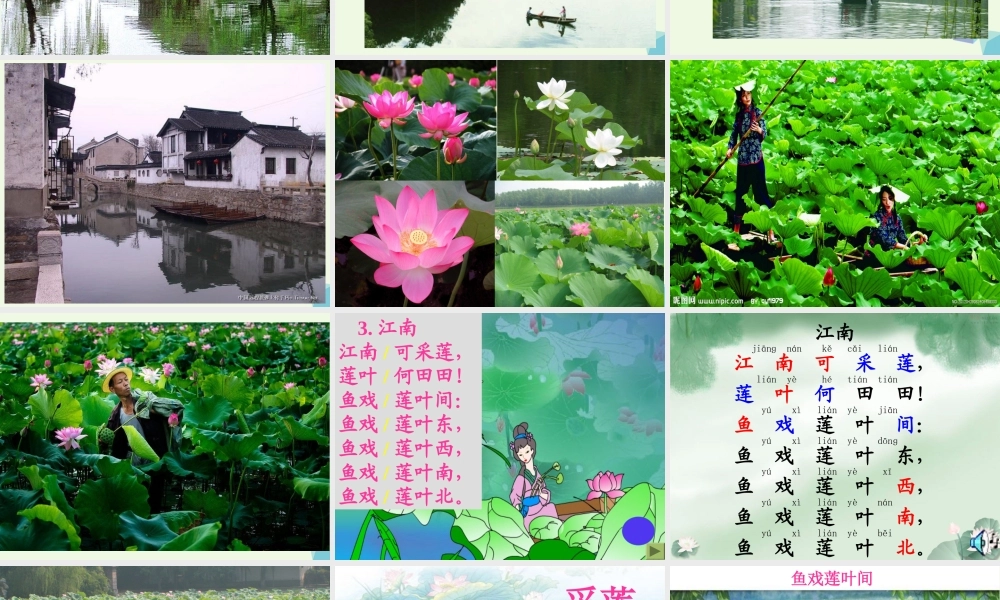 （秋季版）一年级语文上册 课文3 江南课件1 新人教版-新人教版小学一年级上册语文课件