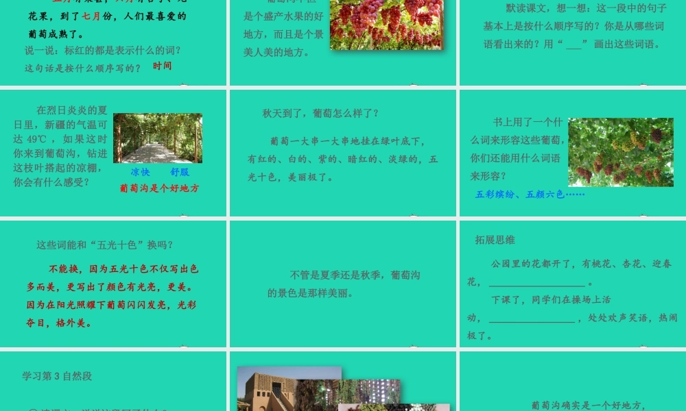 课文3 11《葡萄沟》课件