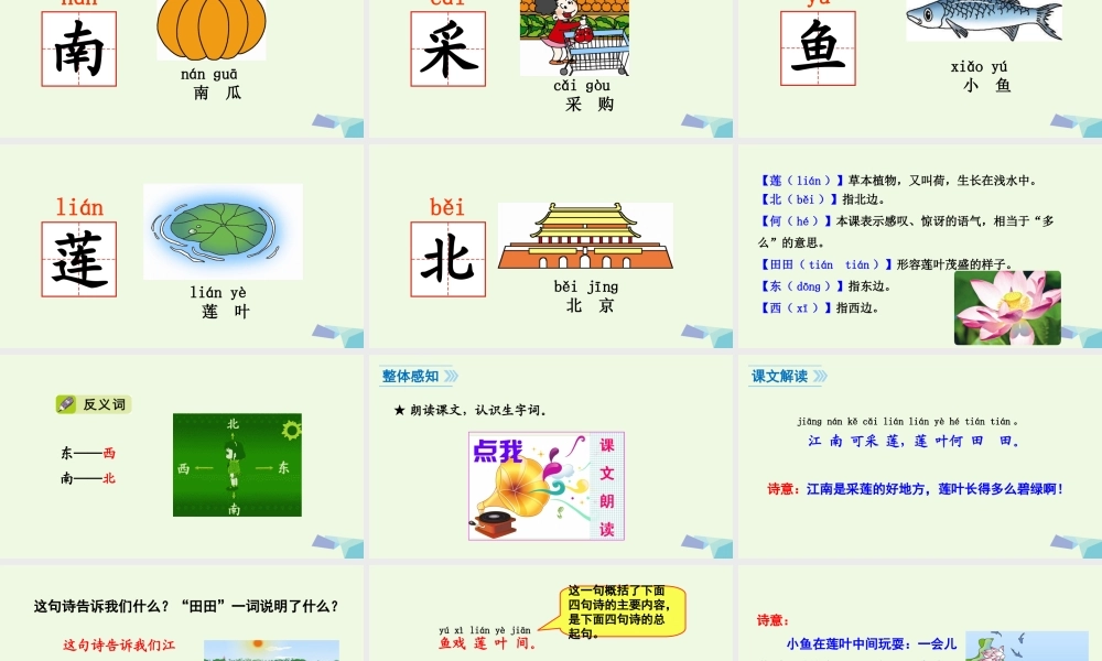 （秋季版）一年级语文上册 课文3 江南课件3 新人教版-新人教版小学一年级上册语文课件