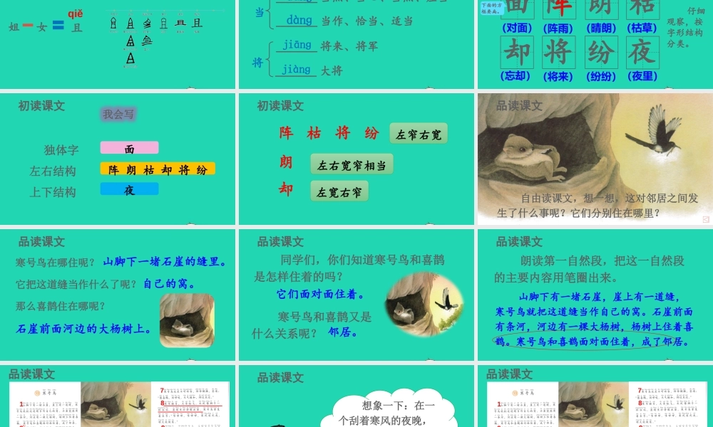 课文4 13 寒号鸟课件