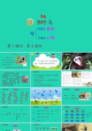 课文4 13 寒号鸟课件