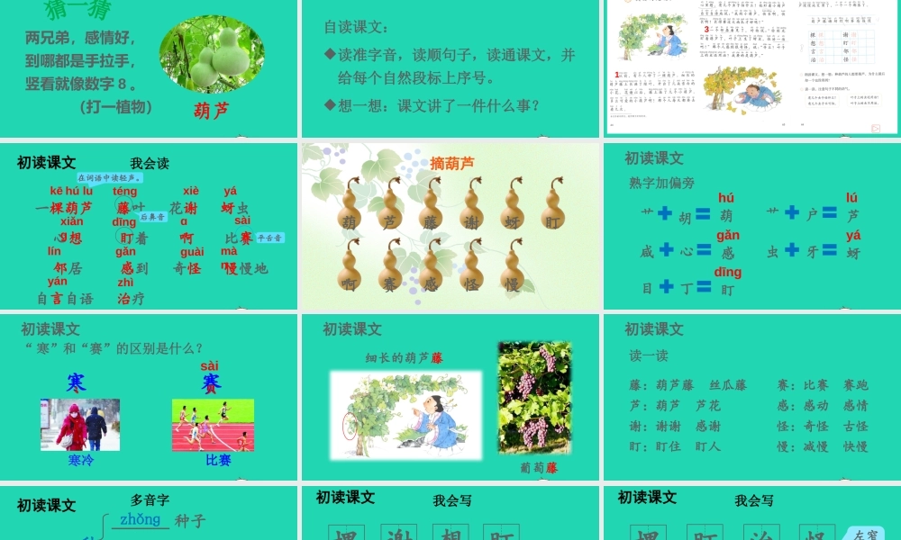 课文4 14 我要的是葫芦课件