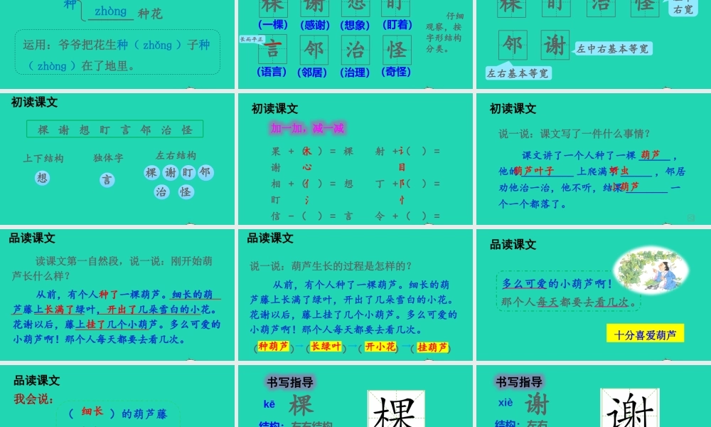 课文4 14 我要的是葫芦课件