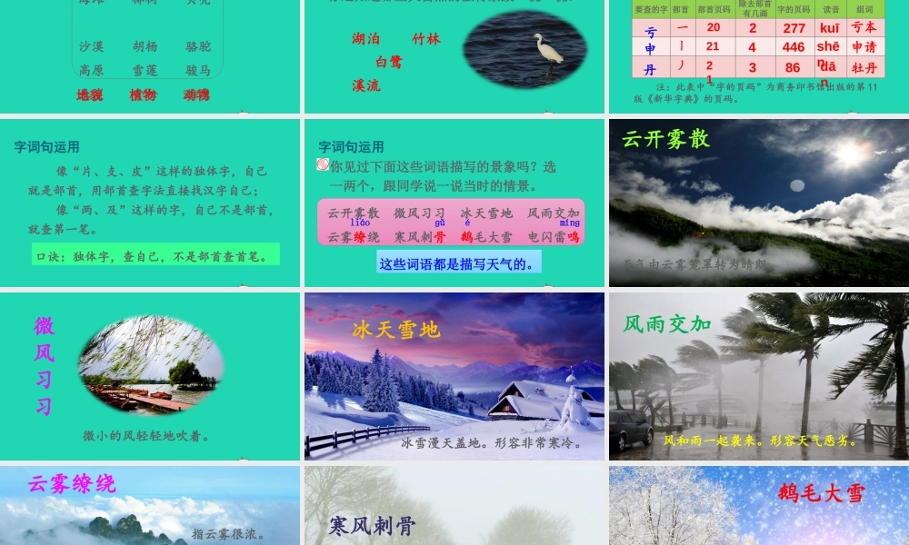 课文6 语文园地七课件