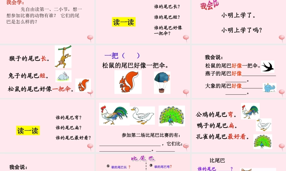 （课堂教学课件1）比尾巴