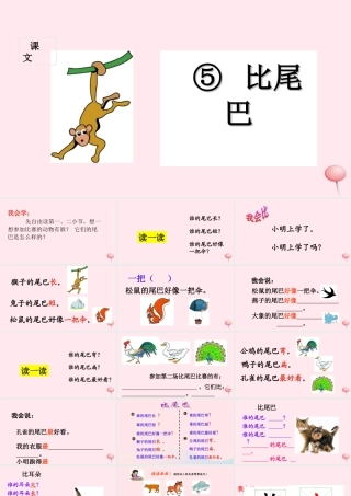 （课堂教学课件1）比尾巴