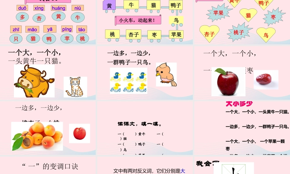 （课堂教学课件1）大小多少