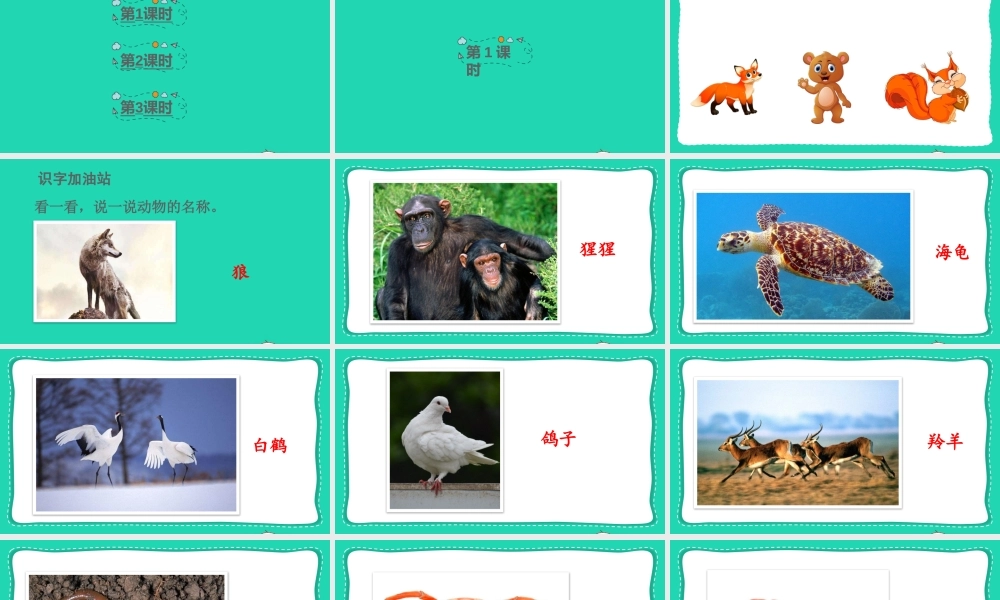 课文7 语文园地八课件