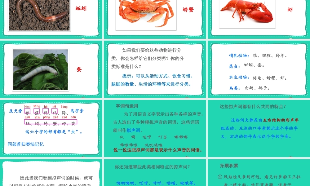 课文7 语文园地八课件