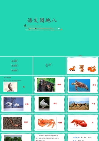 课文7 语文园地八课件