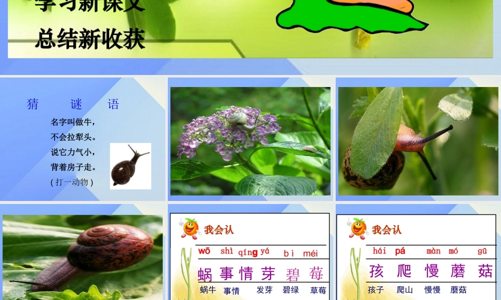 （秋季版）一年级语文上册 课文4 14 小蜗牛课件1 新人教版-新人教版小学一年级上册语文课件