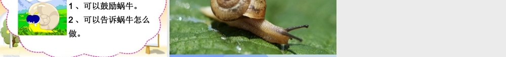 （秋季版）一年级语文上册 课文4 14 小蜗牛课件1 新人教版-新人教版小学一年级上册语文课件