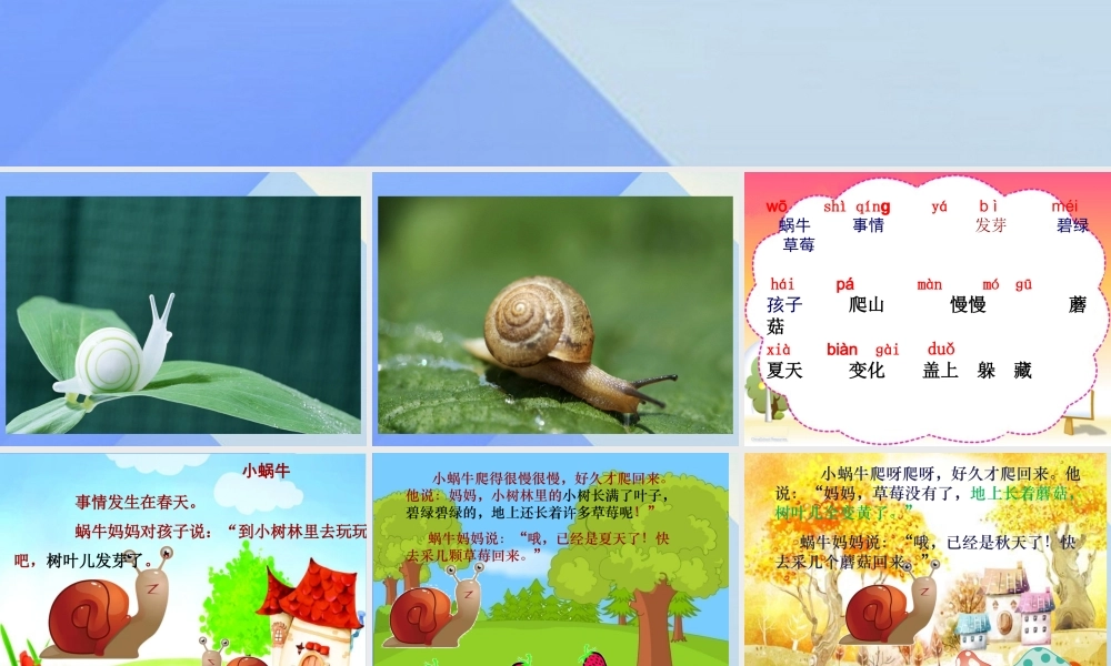 （秋季版）一年级语文上册 课文4 14 小蜗牛课件2 新人教版-新人教版小学一年级上册语文课件