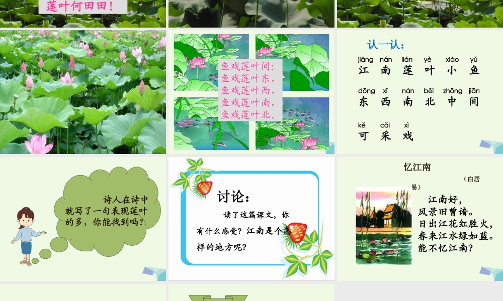 （秋季版）一年级语文上册 课文4 江南课件 西师大版-西师大版小学一年级上册语文课件