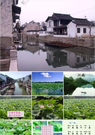 （秋季版）一年级语文上册 课文4 江南课件 西师大版-西师大版小学一年级上册语文课件