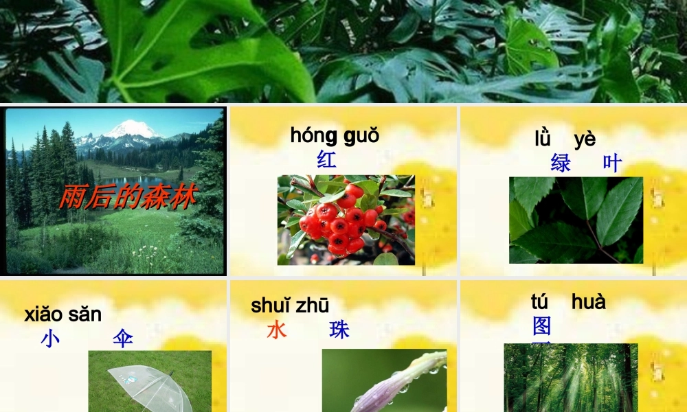 （秋季版）一年级语文上册 课文4 雨后的森林课件1 语文S版-语文S版小学一年级上册语文课件