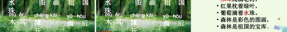 （秋季版）一年级语文上册 课文4 雨后的森林课件1 语文S版-语文S版小学一年级上册语文课件