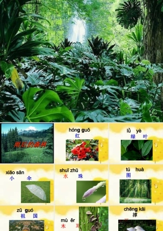 （秋季版）一年级语文上册 课文4 雨后的森林课件1 语文S版-语文S版小学一年级上册语文课件