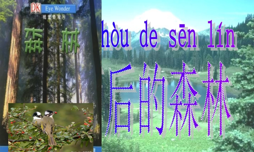 （秋季版）一年级语文上册 课文4 雨后的森林课件2 语文S版-语文S版小学一年级上册语文课件