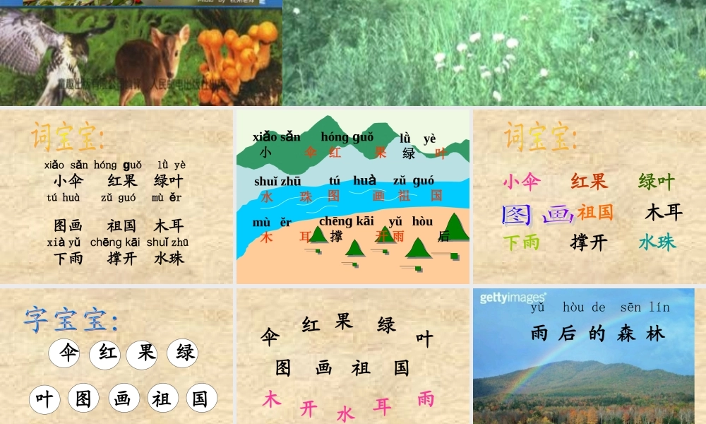 （秋季版）一年级语文上册 课文4 雨后的森林课件2 语文S版-语文S版小学一年级上册语文课件