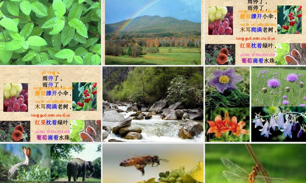 （秋季版）一年级语文上册 课文4 雨后的森林课件2 语文S版-语文S版小学一年级上册语文课件