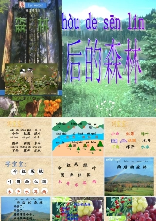 （秋季版）一年级语文上册 课文4 雨后的森林课件2 语文S版-语文S版小学一年级上册语文课件