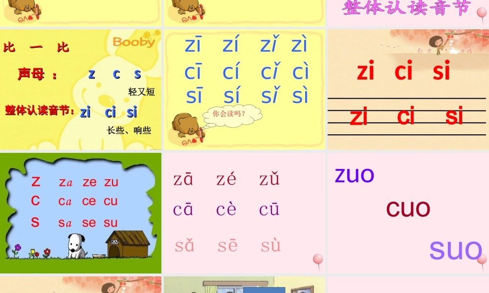 （课堂教学课件2）z c s