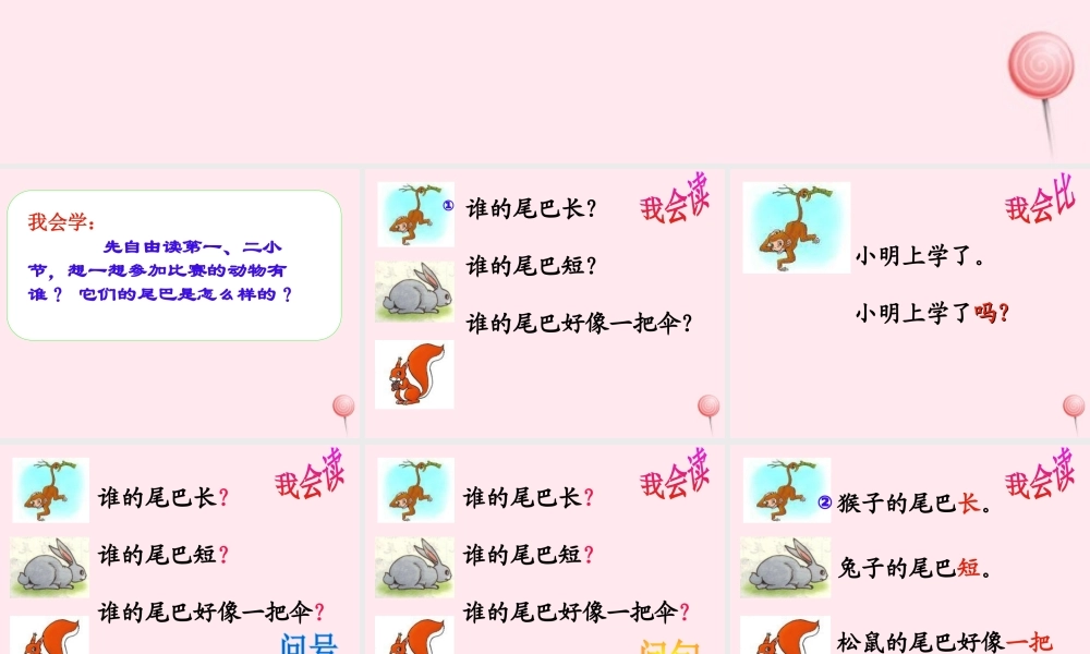 （课堂教学课件2）比尾巴