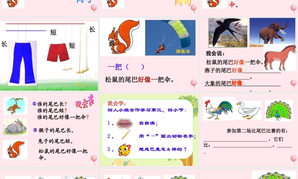 （课堂教学课件2）比尾巴