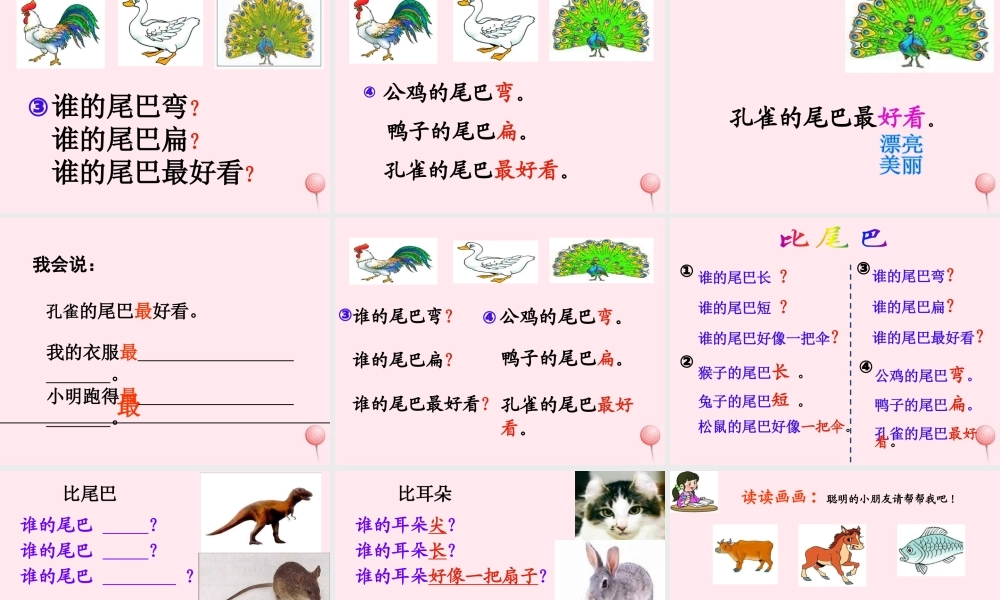 （课堂教学课件2）比尾巴