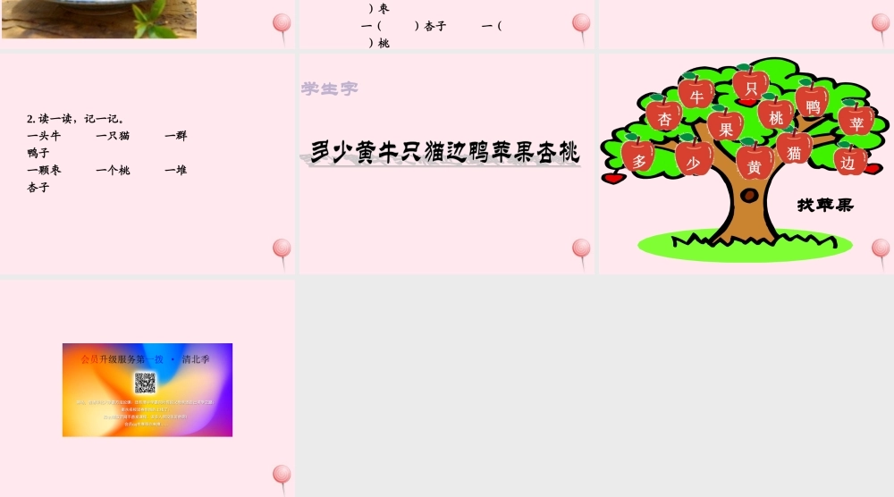 （课堂教学课件2）大小多少