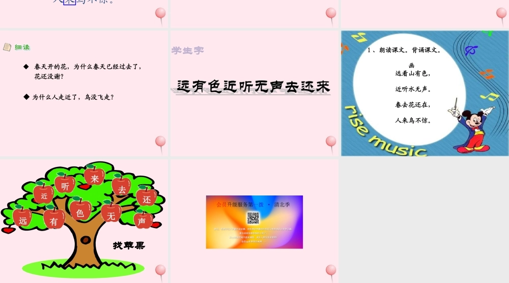 （课堂教学课件2）画