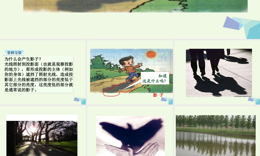 （秋季版）一年级语文上册 课文5 影子课件3 新人教版-新人教版小学一年级上册语文课件