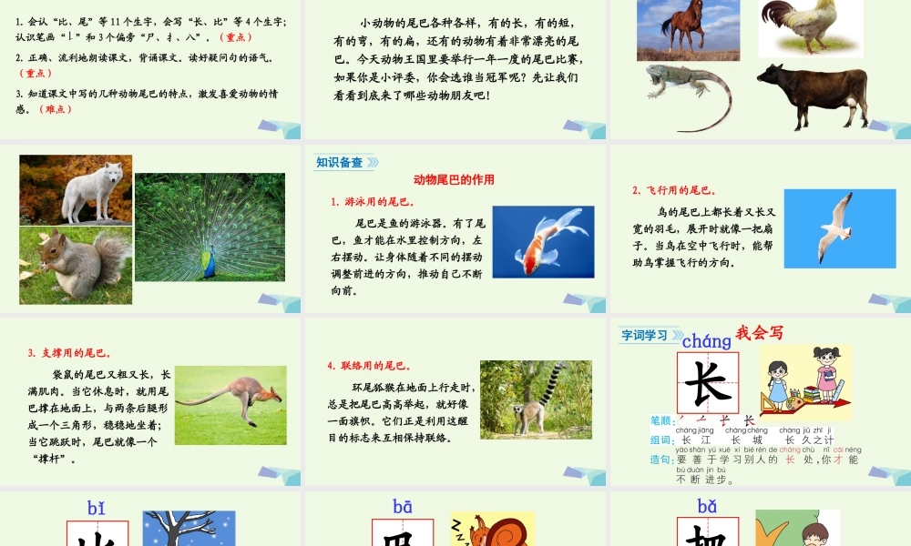 （秋季版）一年级语文上册 课文6 比尾巴课件1 新人教版-新人教版小学一年级上册语文课件